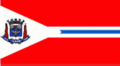 Bandeira Suzano